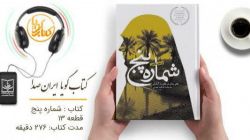 کتاب گویای «شماره پنج» منتشر شد