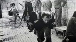 هشدار نیروهای خودی درباره تصرف پاسگاه های مرزی توسط ارتش بعث عراق
