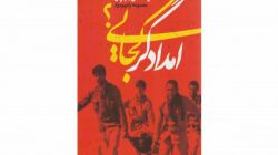بررسی مؤلفه‌های خاطره در کتاب «امدادگر کجایی؟»/ بهره‌گیری از طنز