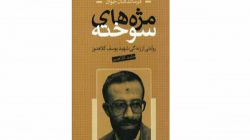 «مژههای سوخته»، التزام عکس و متن، پیشنهاد آلبومنویسی