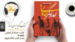 کتاب گویای «امدادگر کجایی» منتشر شد