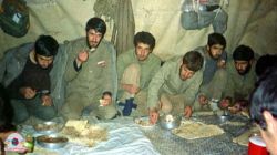 قالب دندان مصنوعی در آش