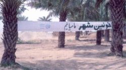 روزی که خرمشهر خونین‌شهر شد/ شهادت حسین گونه شیخ شریف