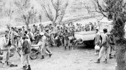 ماجرای پیچی که گرای رزمندگان را می داد