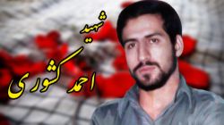 توفیق خدمتگزاری در مسیر انقلاب