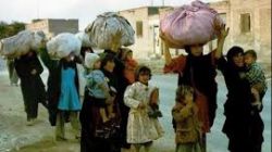 همدلی ملت‌های مسلمان منطقه با جنگ‌زدگان ایرانی