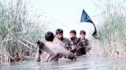 شکار تانک ها در هور